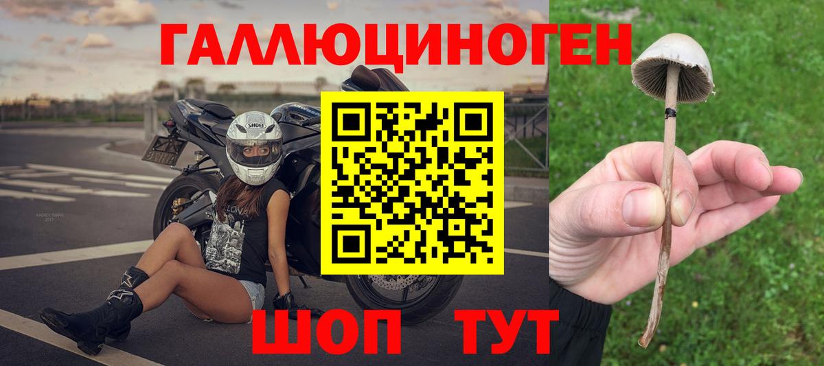 Псилоцибиновые грибы мицелий  Псилоцибиновые грибы MAGIC MUSHROOMS  Арсеньев  Вход с VPN 